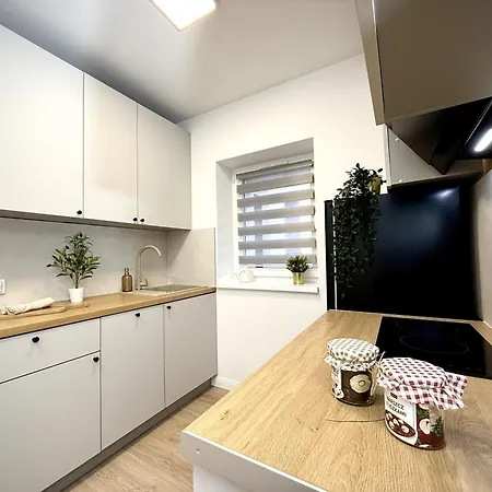 Retro Kato Apartment Kattowitz