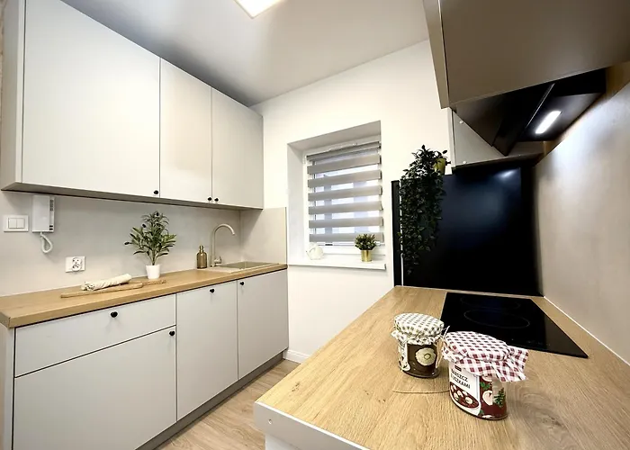 Retro Kato 公寓 卡托维兹